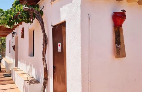 Colegio House | Welcoming Casa do Avô António: Pet-Friendly Retreat