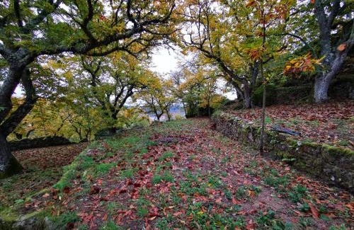 Sernancelhe House | Family-Friendly Retreat at Casa do Castelo - Rated 9.2/10