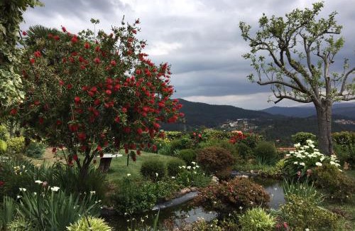 Amarante House | Casa do Crasto: 4-Star Retreat with Pool and Breakfast