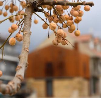 Macedo de Cavaleiros House | Discover Casa do Ferreiro: Family-Friendly and Highly Rated