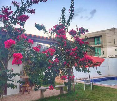 Praia do Frances House | Enjoy Oceanfront Bliss at Casa do Francês Temporada
