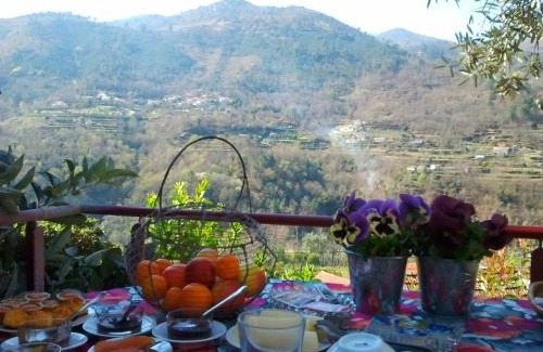 Cinfaes House | Discover Oceanfront Bliss at Casa do Moleiro - Rated 9.6