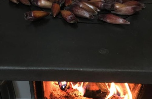 Gramado House | Pet-Friendly Getaway at Casa do Nono for Families