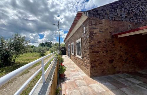 Olalhas House | Guest Rated 10/10: Family-Friendly Casa do Pinhal Retreat
