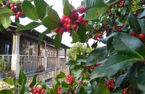 Arouca House | Oceanfront Escape at Casa do Pinto - Rated 9.2/10!