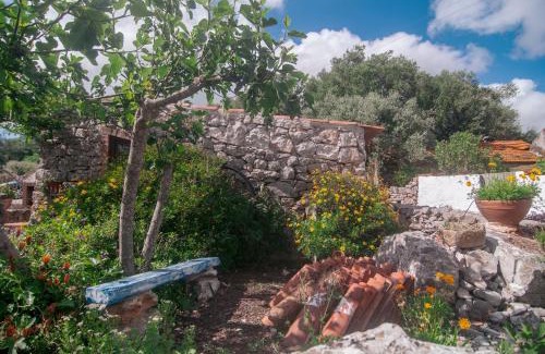 Casais dos Monizes House | Oceanfront Casa do Professor: Guest Rated 9.4/10
