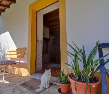 Porto de Mos House | Discover Casa do Largo: Pet-Friendly Getaway with Hot Tub