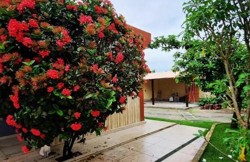 Marechal Deodoro House | Discover Casa do Sítio: Pet-Friendly with Oceanfront Views