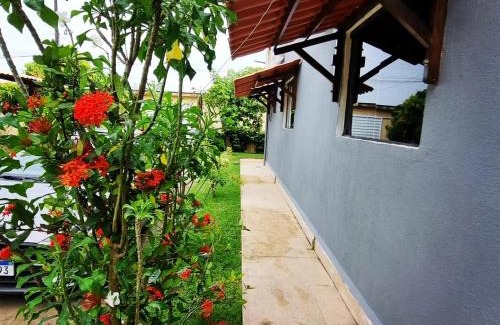 Marechal Deodoro House | Discover Casa do Sítio: Pet-Friendly with Oceanfront Views