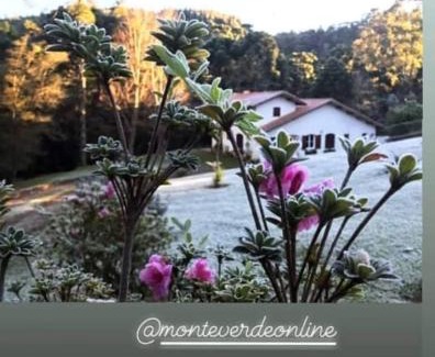 Monte Verde House | Inviting Stay at Casa Do Sol Nascente - Child Friendly Retreat