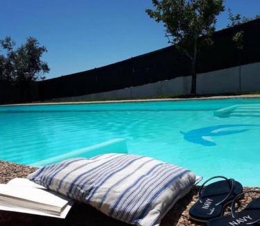 Seixas House | Discover Casa do Vale: Pet-Friendly Villa by the Ocean