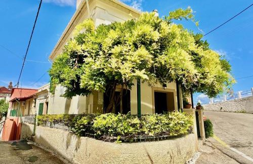 Esperion Villa | Enjoy Casa Dolce with Private Plunge Pool - 4-Star Retreat