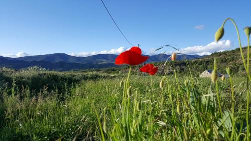 Lasaosa House | Pet-Friendly Casa Dorondón: 4-Star Retreat with High Ratings