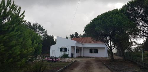 Caldas da Rainha House | Guest Rated Casa dos Morgados: Family & Pet-Friendly Haven