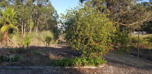Caldas da Rainha House | Guest Rated Casa dos Morgados: Family & Pet-Friendly Haven