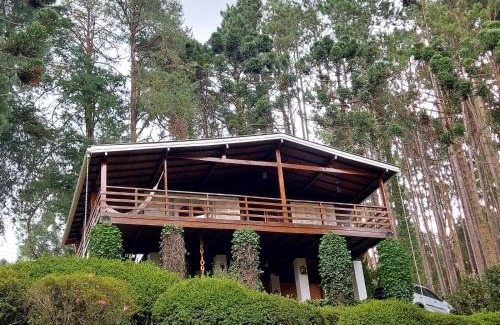 Jardim Europa House | Guest Rated 9.9: Family-Friendly Casa dos Pinheiros Retreat