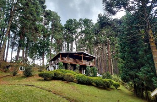 Jardim Europa House | Guest Rated 9.9: Family-Friendly Casa dos Pinheiros Retreat