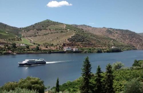 Carrazeda de Ansiaes House | Charming Casa dos Vinhais in the Scenic Douro Valley
