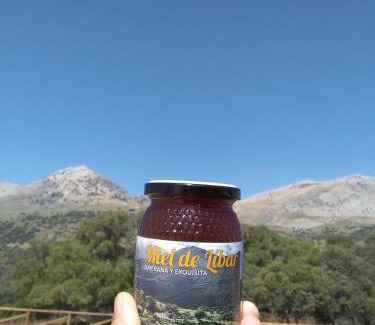 Jimera de Libar House | Pet-Friendly CASA EL CANTÓN: Family Welcomes Await
