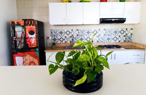 Girardot House | Discover Casa El Peñon: Pet-Friendly Hotel with Spa & Pool
