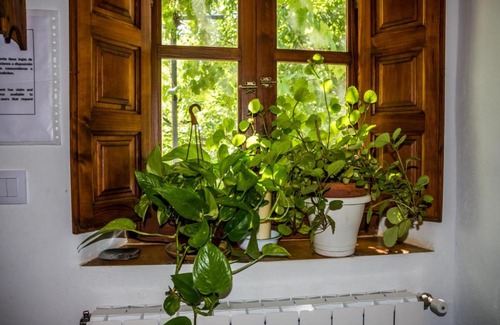 Bubion House | Discover Casa el Portón: Pet-Friendly Retreat with Top Ratings