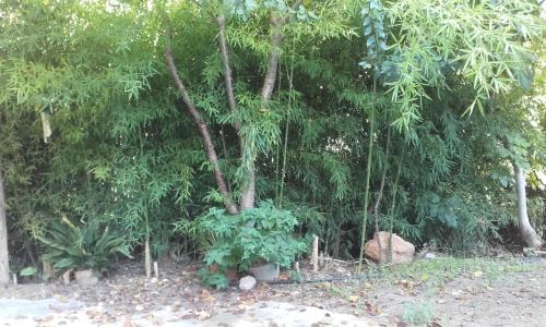 Lucena del Cid House | Pet-Friendly Retreat at Casa Elina Lucena - Rated 8.7/10