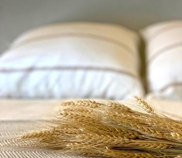 Torroella de Montgri House | Pet-Friendly Retreat: Casa Elvira with 9.6/10 Guest Rating