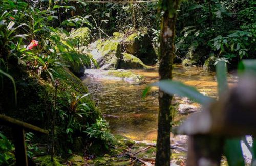 Penedo House | Discover Casa em Penedo: Family-Friendly with a Hot Tub