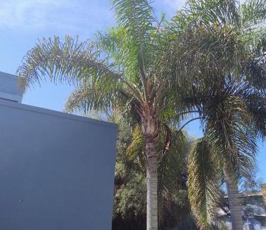 Villa Carlos Paz House | Inviting Casa en Barrio Costa Azul with Pool & Breakfast