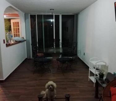 Cuautla House | Pet-Friendly Retreat with Pool in Cuautla Morelos