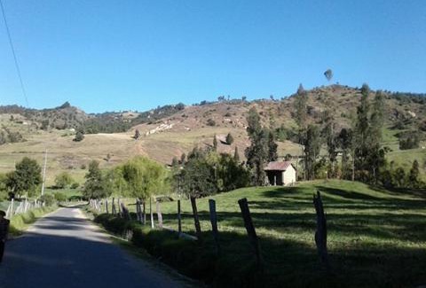 Pesca House | Experience Casa En El Arbol: Pet-Friendly Getaway