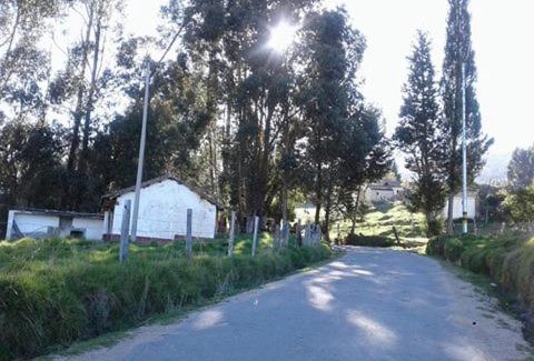 Pesca House | Experience Casa En El Arbol: Pet-Friendly Getaway