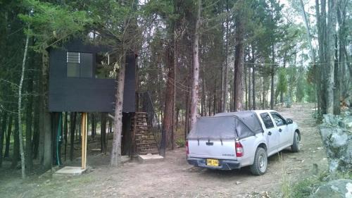 Pesca House | Experience Casa En El Arbol: Pet-Friendly Getaway