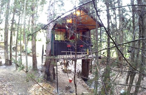 Pesca House | Experience Casa En El Arbol: Pet-Friendly Getaway