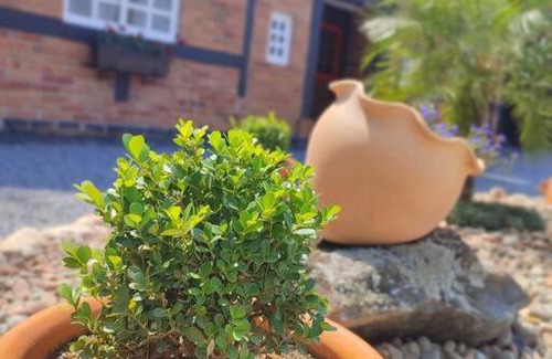 Pomerode House | Welcoming Casa Enxaimel 02: Pet-Friendly Retreat in Pomerode