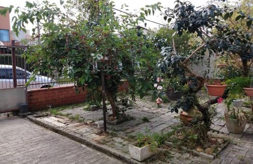 Centro House | Beautiful Casa with Ocean View in the Heart of Centro