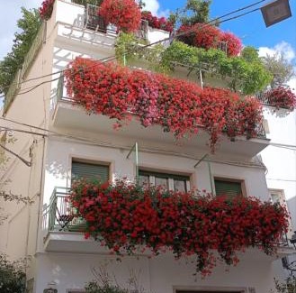 Altamura Bed & Breakfast | Cozy Casa Farella B&B with Breakfast & Pet-Friendly Stays
