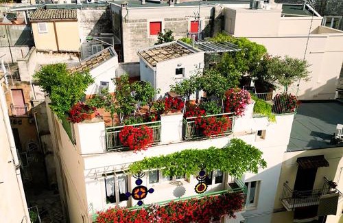 Altamura Bed & Breakfast | Cozy Casa Farella B&B with Breakfast & Pet-Friendly Stays