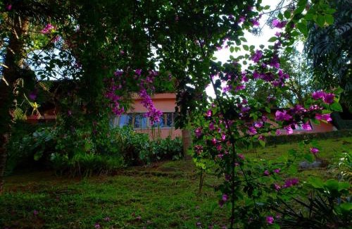 Fazenda Inglesa House | Pet-Friendly Getaway at Casa Fazenda Inglesa, Rated 9.8
