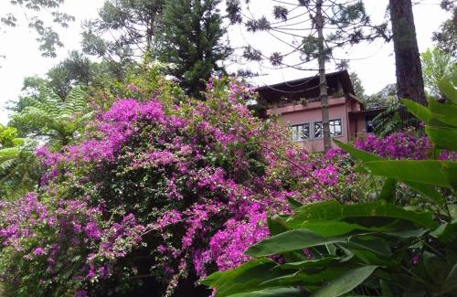 Fazenda Inglesa House | Pet-Friendly Getaway at Casa Fazenda Inglesa, Rated 9.8