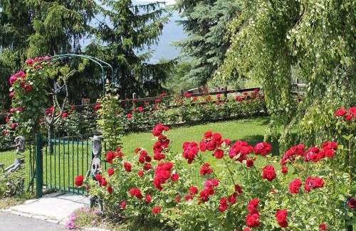 Montan-Angelin-Arensod Apartment | Family-Friendly Retreat at Casa Felice da Piera, 4 Stars
