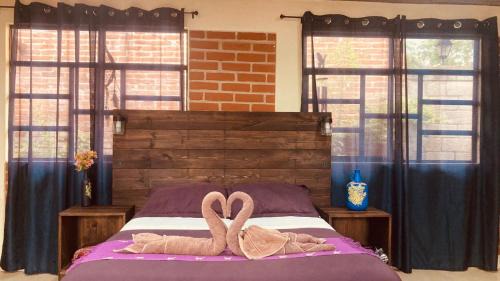 Santa Lucia House | Pet-Friendly Casa Flor de Vida with High Guest Rating