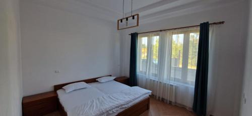 Comanesti Apartment | Pet-Friendly Retreat at Casa Francesca with Hot Tub Access