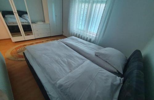 Sebes Apartment | Casa Frizerului - Free Pet Stay & Motorcycle Friendly Retreat