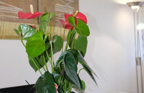 San Giorgio-Librino-San Giuseppe la Rena-Zia Lisa-Villaggio Sant'Agata Apartment | Family-Friendly Casa Gaetano with Kitchen Amenities