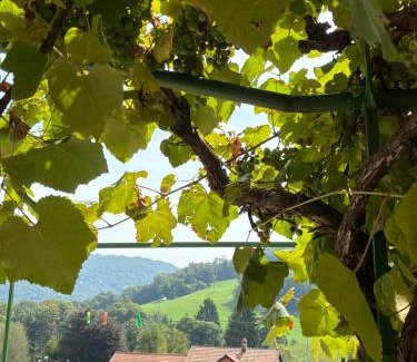 Novaggio House | Family-Friendly Holiday Homes in Scenic Switzerland