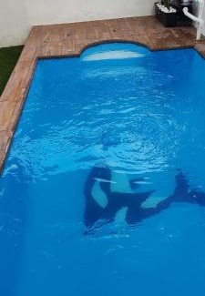 Jojutla House | Discover Casa Guacamayas: Pet-Friendly Family Getaway