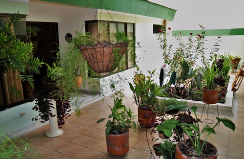 Palmira House | Discover Comfort at Casa Hostal Las Mercedes