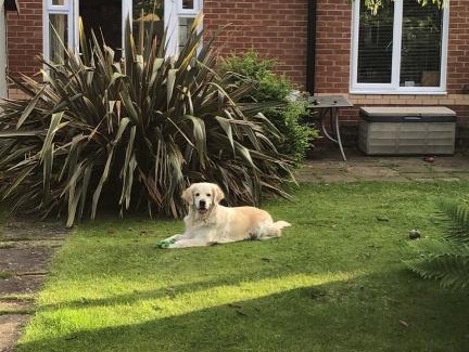 Macclesfield House | Welcoming Casa Ifita: Pet Friendly and Budget-Friendly Stay