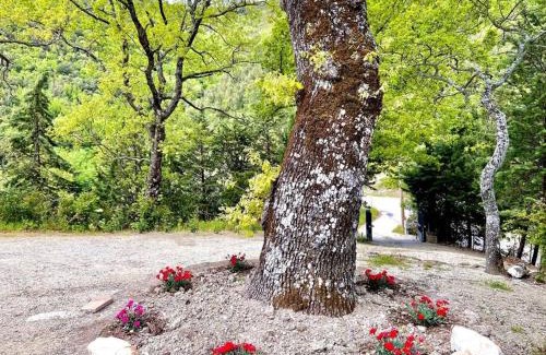 Narni House | Pet-Friendly Paradise at Casa Il Colle | Rated 9.4/10
